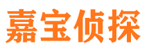 宜阳嘉宝私家侦探公司